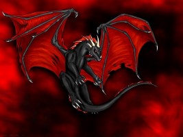 Order Of The Black Dragon