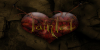 Tainted Hearts Horde