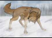 Shywolfe06 Resident